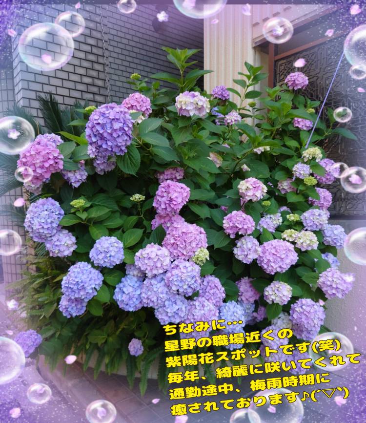 先程の伝言板で言ってた…^^