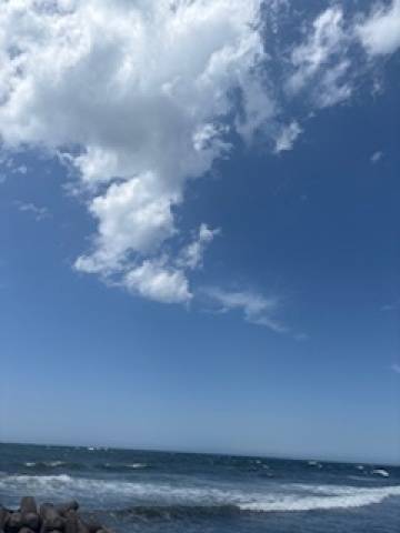よろしくお願いします