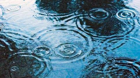 雨