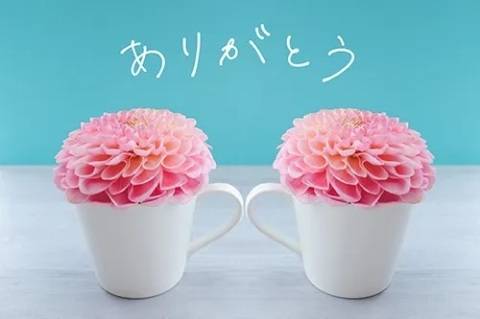 リッツでお会いしたSさま