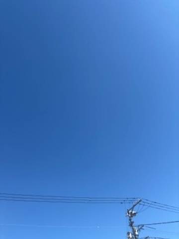 こんにちは