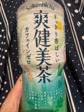 シルクロードでお会いしたTさま