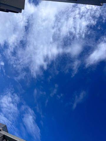 お礼日記です。