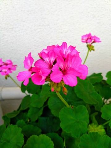 口コミのお礼です（K様）