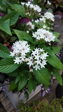 急遽すみませんm(_ _;)m