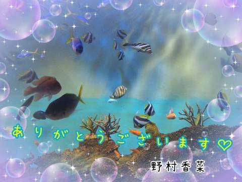 Oさまへ