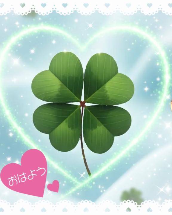 おはようございます。