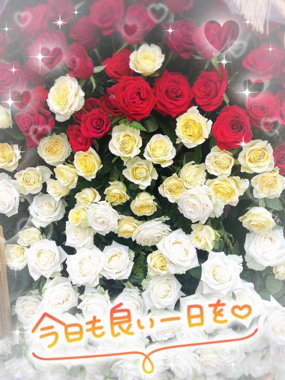 おはようございます。って