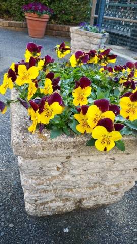 U様へお礼です（1日）