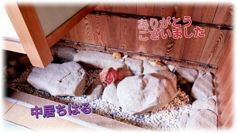 ありがとうございました♪