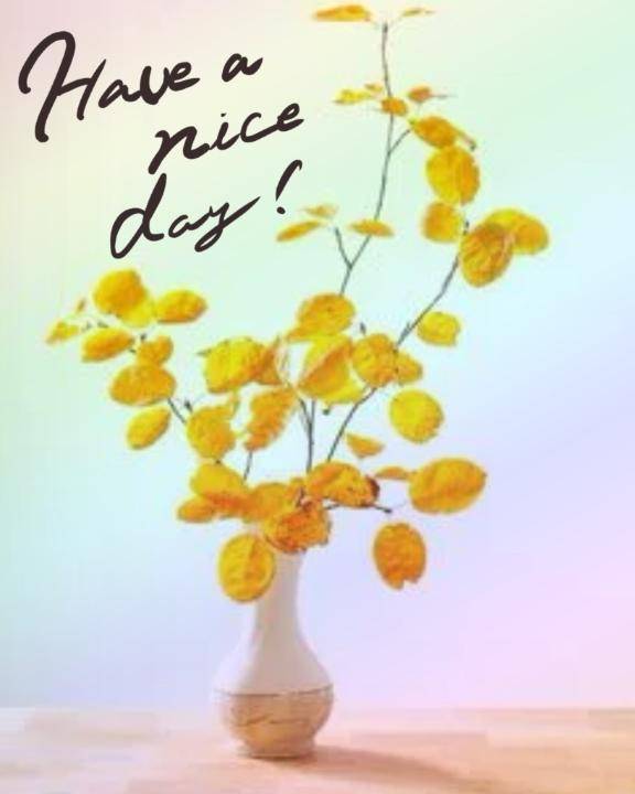 おはようございます。