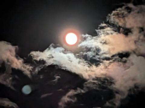 おはようございます