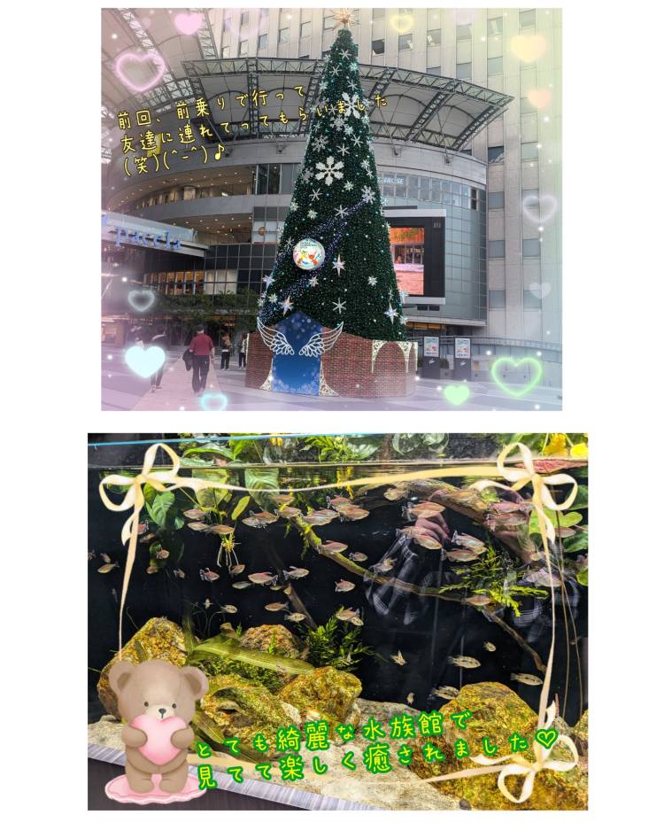 もとまち水族館行きました☆