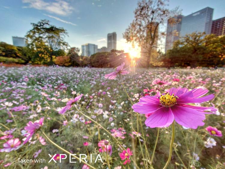 O様へお礼です（16日）