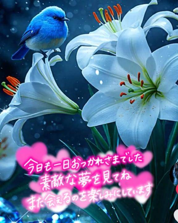 お休みなさい。