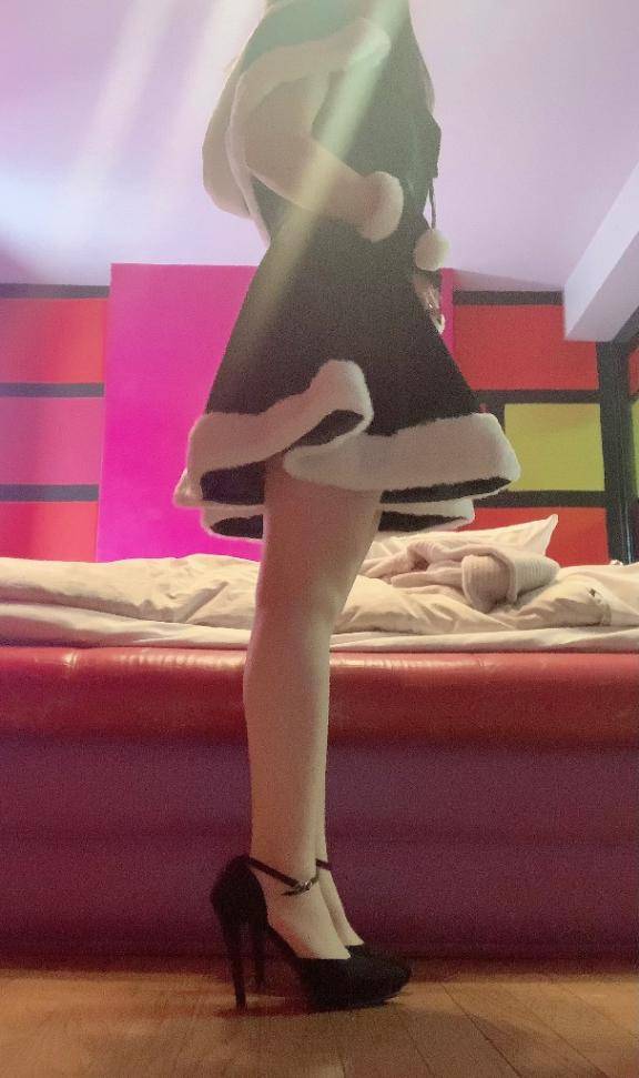 出勤しました。