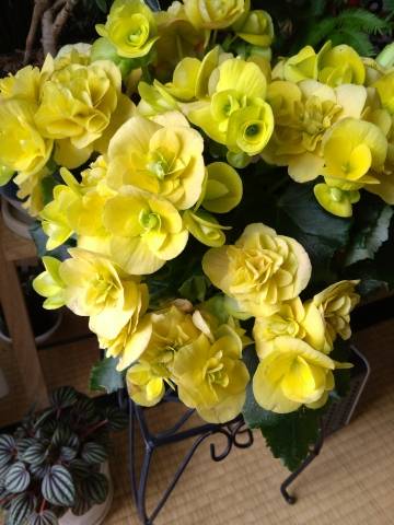 2025年ラストのありがとう