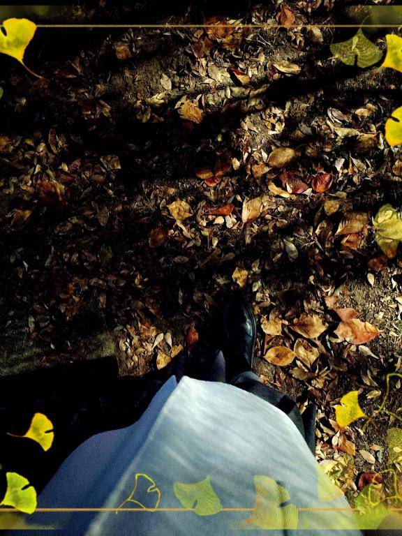 帰り道の小さな発見