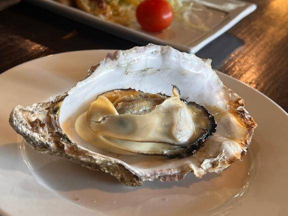 おはようございます