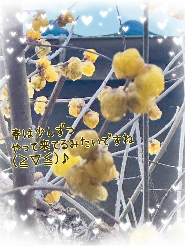 さっきの日記に書いた…