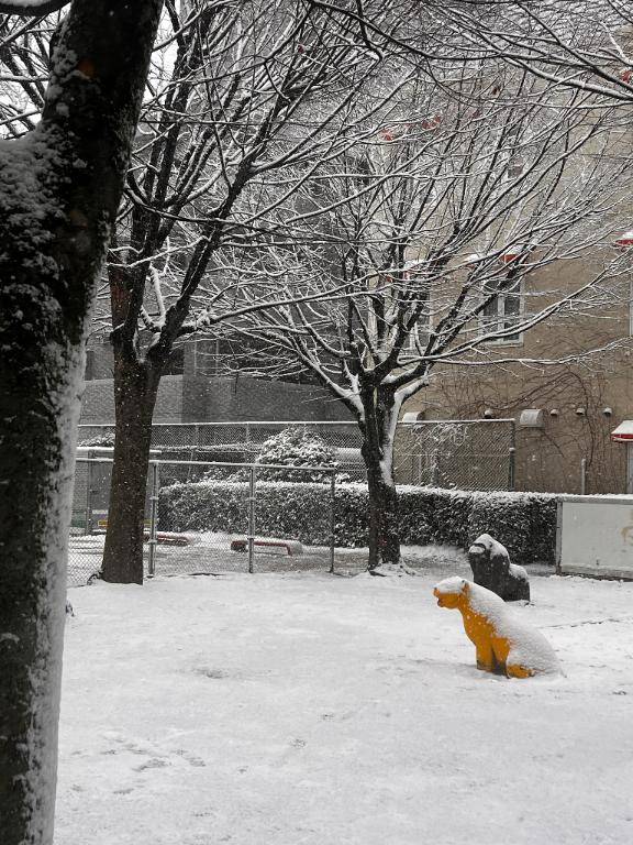 おやすみなさい