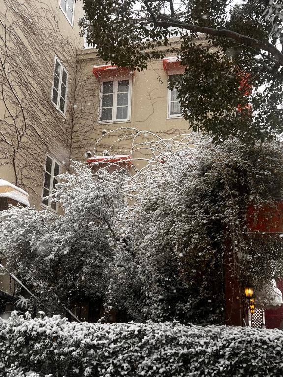 ありがとうございました??