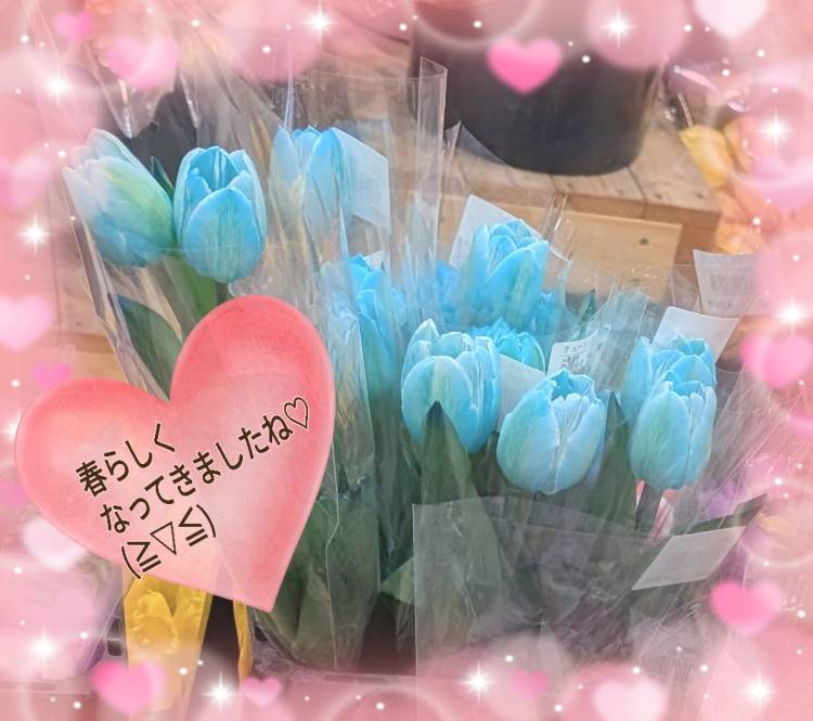 珍しい…☆(≧▽≦)