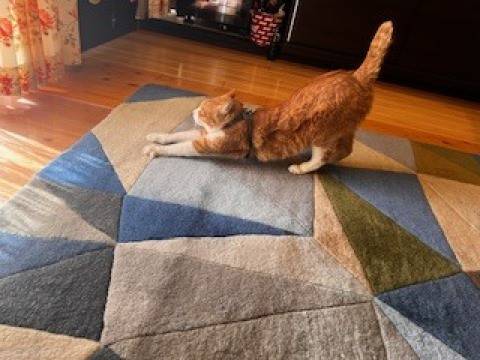 ありがとうございました