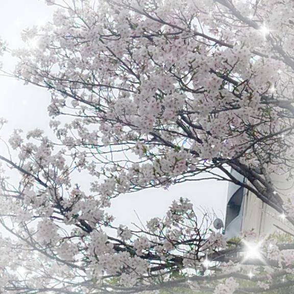 美紀子と散歩?最近エロいことしてますか？