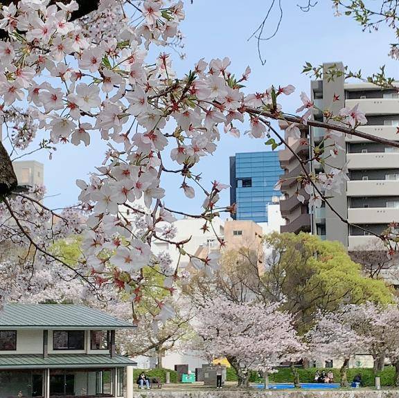 それぞれの春を