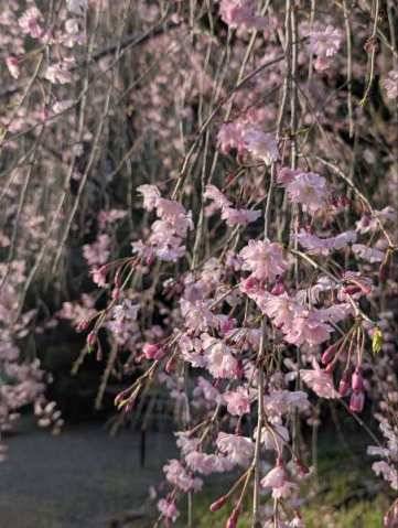 ご予約ありがとうございます!