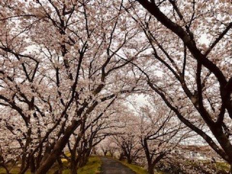 おはようございます