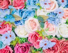 レスティＹさん