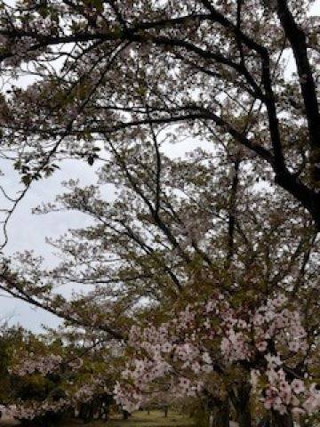 気持ち良い??