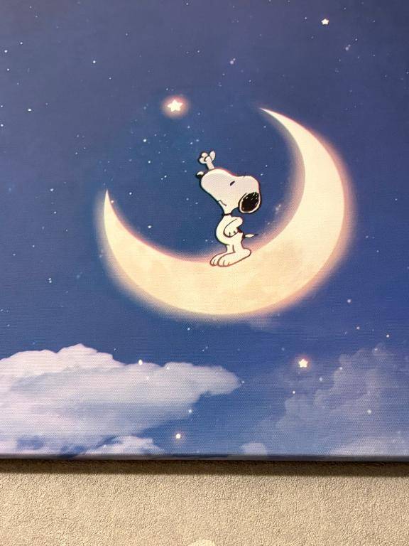 本日終了です。
