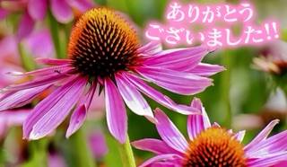 仲良しけ〇〇様
