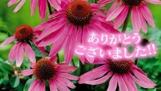 小粋はじめまして様