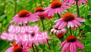 本指名様