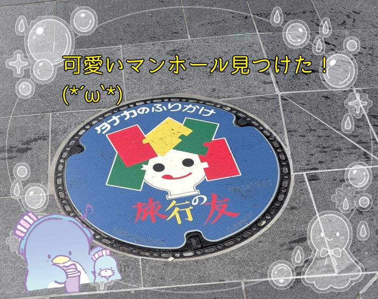 散歩中にいつも見る絵柄が…？(*´ω`*)