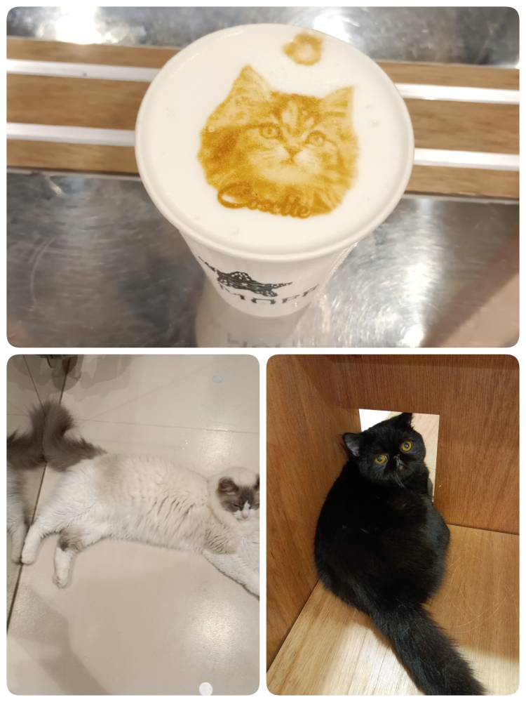 最終日(*^_^*)