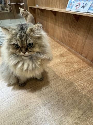 おはようございます?(*´?`*)??