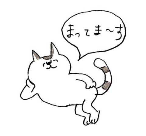 本日は