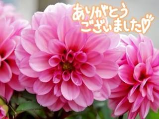 仲良しH様に感謝♪
