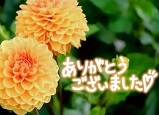 本指名M様に感謝♪