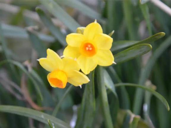 こんにちはm(_ _)m