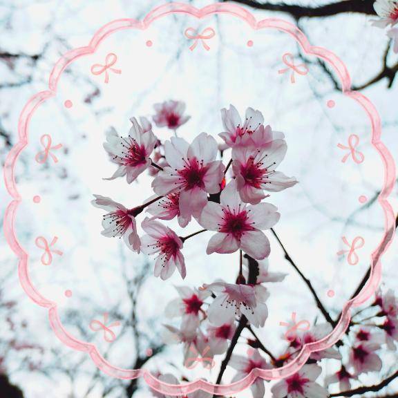 のぞみ☆竹(五十妻(イソップ)40代~60代 山口・宇部店)