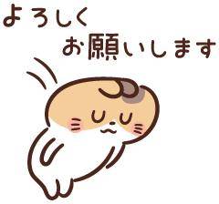 明日も?