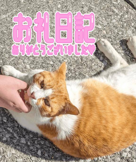 潮浴びし過ぎてふやけそう///
