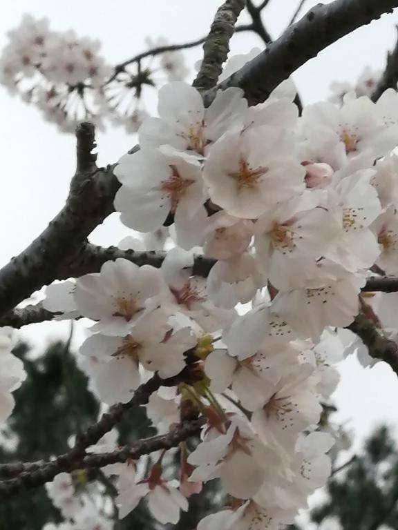 5月13日