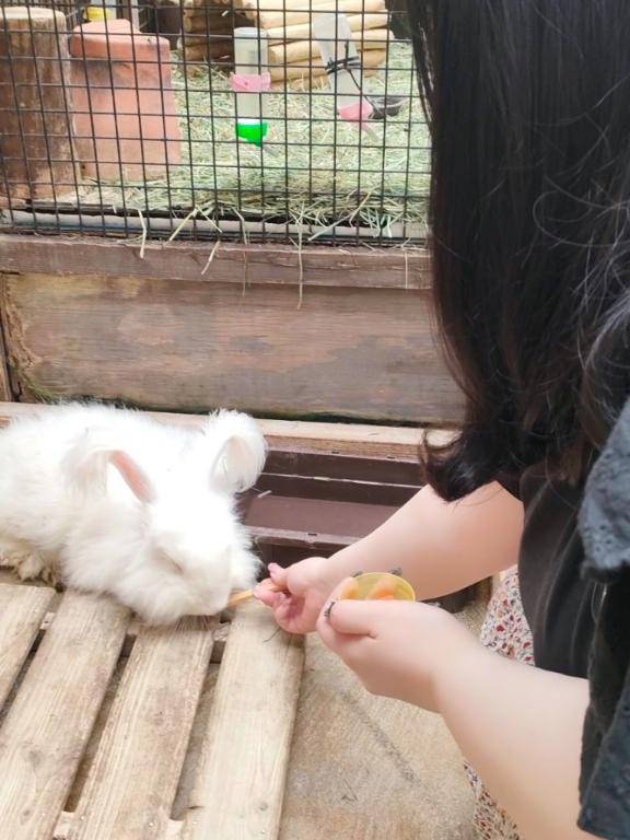 めろ《やーん。おねがい♪》